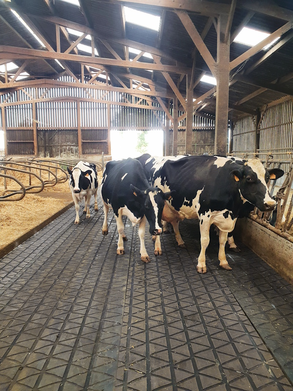 Couloirs de circulation